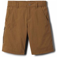 columbia-pantalones-cortos-silver-ridge iv